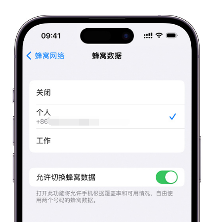 阳明苹果维修服务分享如何在iPhone上使用双卡 